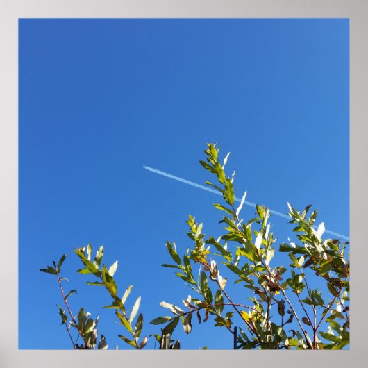 Himmel Poster (Vorne)