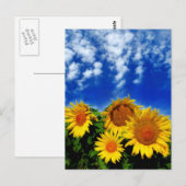 Himmel und Blut Postkarte (Vorne/Hinten)