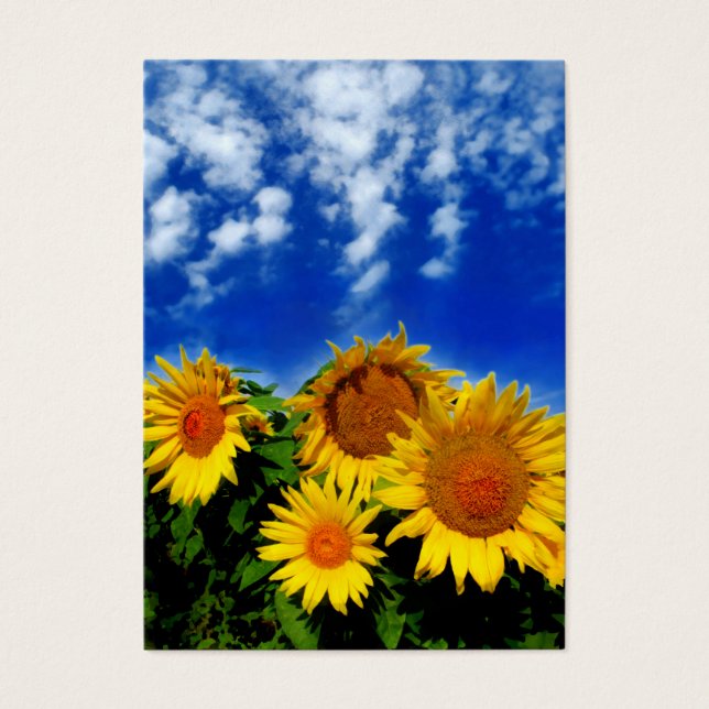 Himmel und Blüte, Visitenkarten (Vorderseite)