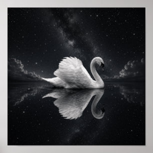Himmels-Schwan-Spiegelungsposter Schwarz & Weiß Poster