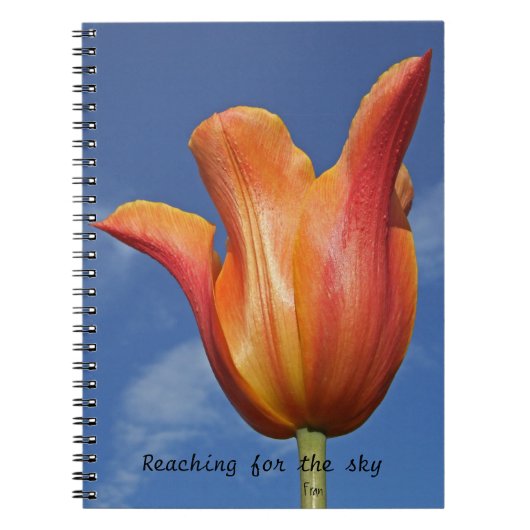 Himmelsangriffe Notizblock (Vorderseite)