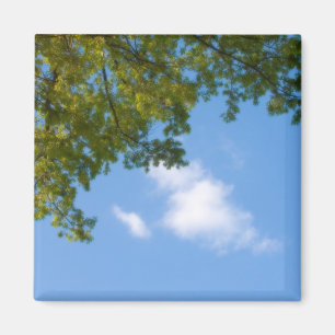 Himmelsansicht mit Baumspitze Magnet