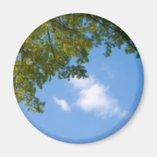 Himmelsansicht mit Baumspitze Magnet