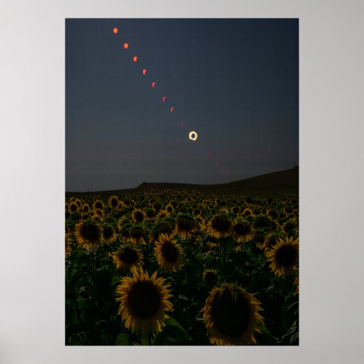 Himmelsdruckkunstfeld Sonnenblume Poster (Vorne)