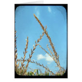 Himmelskörper (Vorne)