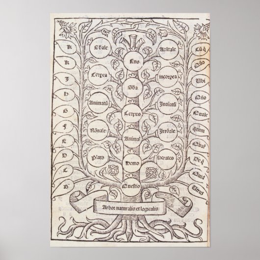 Himmelsleiter Poster (Vorne)