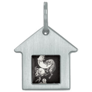 Himmelsmond Himmel Universum Gott Nacht Illustrati Tiermarke