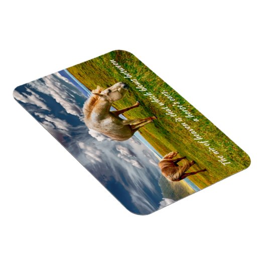 Himmelspferdmagnet Magnet (Rechte Seite)