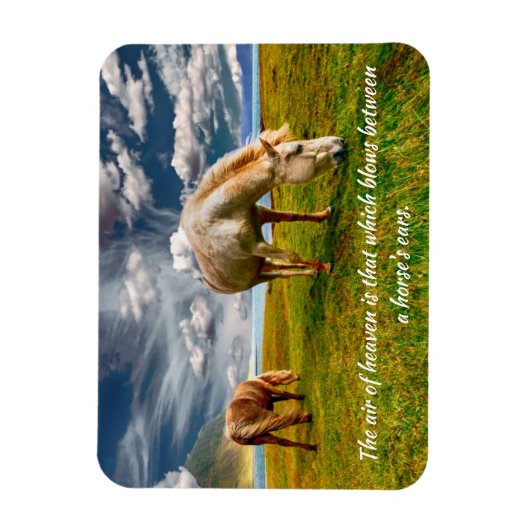 Himmelspferdmagnet Magnet (Vertikal)