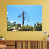 Himmelsscheibe Leinwanddruck (Insitu (Wohnzimmer))