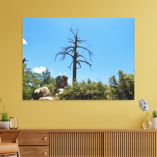 Himmelsscheibe Leinwanddruck (Insitu (Wohnzimmer))