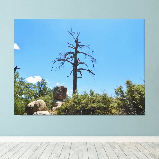 Himmelsscheibe Leinwanddruck (Insitu (Holzboden))