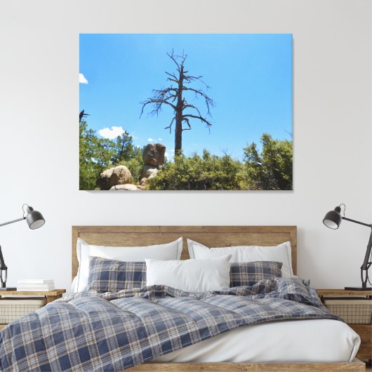 Himmelsscheibe Leinwanddruck (Insitu (Schlafzimmer))