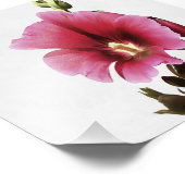 Himmlisch Pink Hollyhock Malva Blume Floral Fotodruck (Ecke)