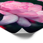 Himmlisch Rosa Rose Blume Abstrakt Poster (Ecke)
