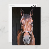 Himmlische Ansicht Postkarte (Vorne/Hinten)