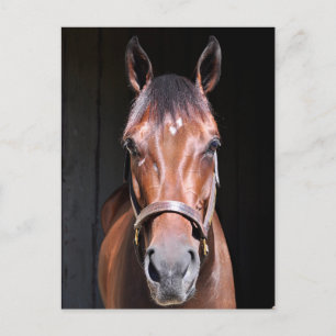 Himmlische Ansicht Postkarte