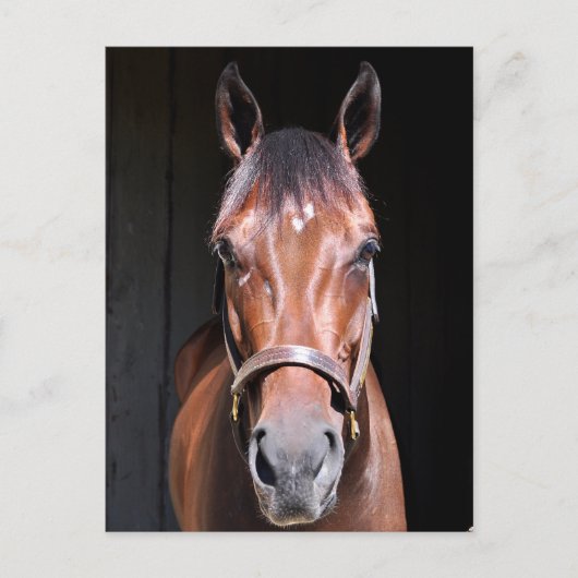 Himmlische Ansicht Postkarte (Vorderseite)