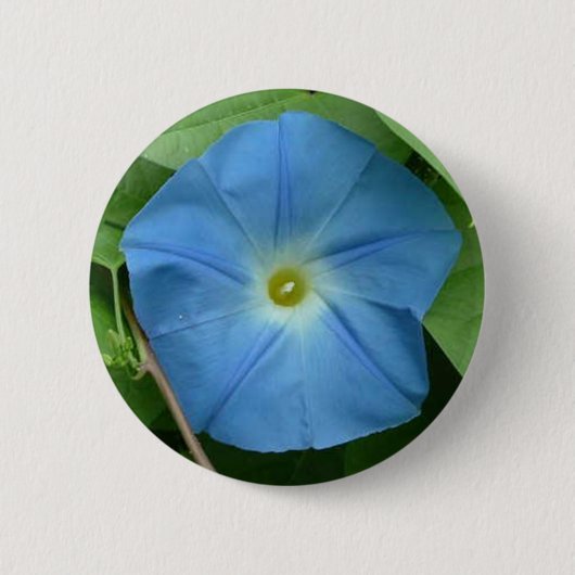 Himmlische blaue Winde Button (Vorderseite)
