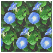 Himmlische blaue Winde Stoff (Muster)