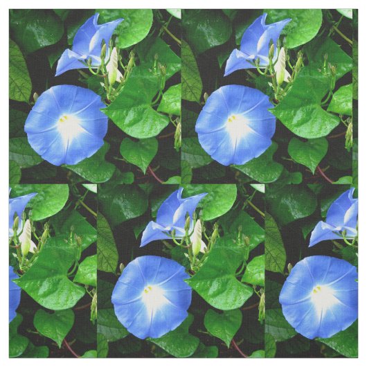 Himmlische blaue Winde Stoff (Muster)