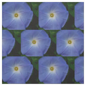 Himmlische blaue Winde Stoff (Muster)