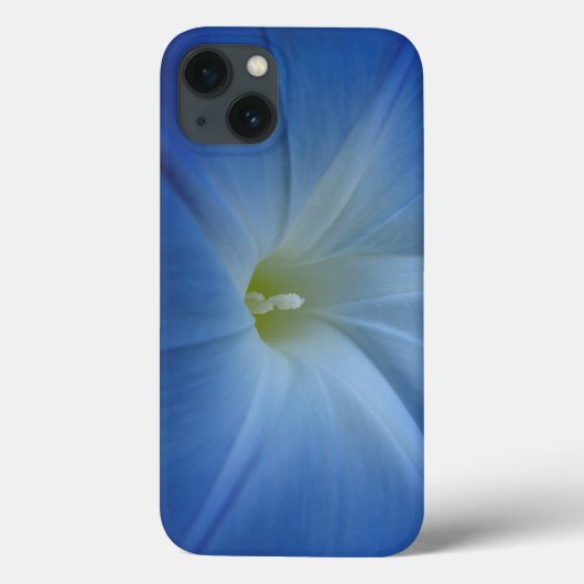 Himmlische blaue Winden-Nahaufnahme Case-Mate iPhone Hülle (Rückseite)