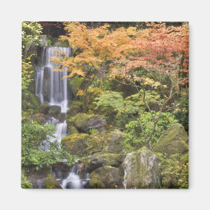 Himmlische Fälle und Herbstfarben Magnet