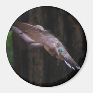 Himmlische Flügel Magnet