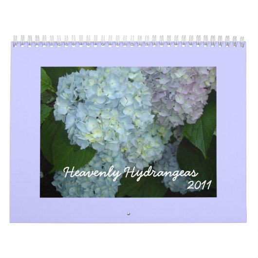 Himmlische Hydrangeas - 2011 Kalender (Titelbild)