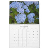 Himmlische Hydrangeas - 2011 Kalender (Jan 2026)