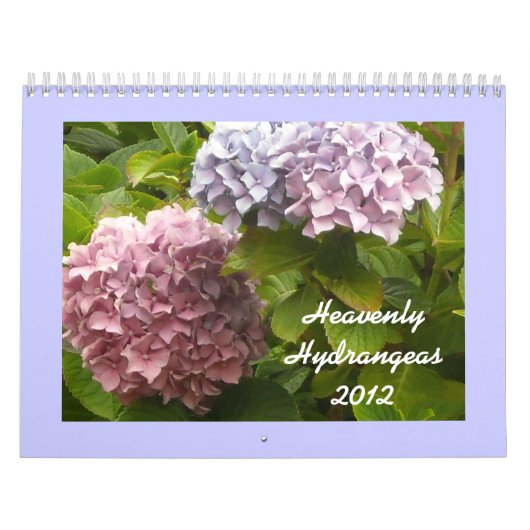 Himmlische Hydrangeas 2012 Kalender (Titelbild)