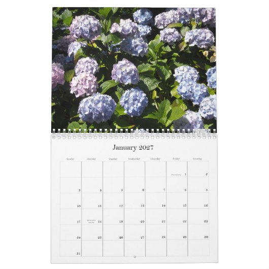 Himmlische Hydrangeas 2013 Kalender (Jan 2027)