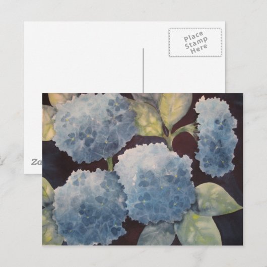 Himmlische Hydrangeas Postkarte (Vorne/Hinten)