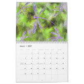 Himmlische Libellen auf einem Sternenhimmel Kalender (Mär 2027)
