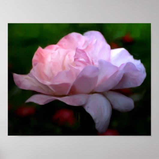 Himmlische Rosa Blume Foto Malerei Poster (Vorne)