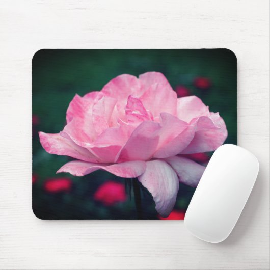 Himmlische Rosa-Blume Mousepad (Mit Mouse)