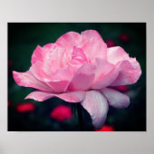 Himmlische Rosa-Blume Poster (Vorne)