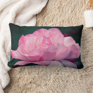 Himmlische rosa Rosenblüte   Lendenkissen