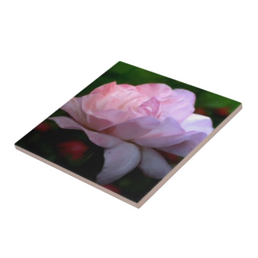 Himmlische rosa Rosenstraße Fliese (Seite)