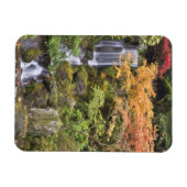 Himmlische Wasserfälle und Herbstfarben Magnet (Horizontal)