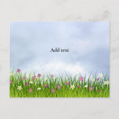 Himmlische Wolken, Wiese mit Blume, Postkarte (Vorderseite)