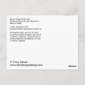 Himmlischer Bambus und Asparagus Fern Postkarte (Rückseite)