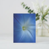 Himmlischer Blue Morning Glory Nah-Up Postkarte (Stehend Vorderseite)