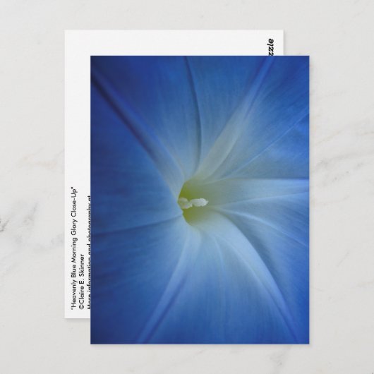 Himmlischer Blue Morning Glory Nah-Up Postkarte (Vorne/Hinten)