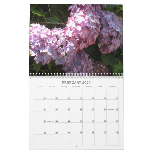 Himmlischer Hydrangeas-Kalender Kalender (Feb 2026)