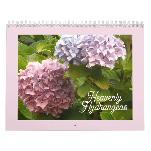 Himmlischer Hydrangeas-Kalender Kalender (Titelbild)