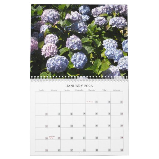 Himmlischer Hydrangeas-Kalender Kalender (Jan 2026)