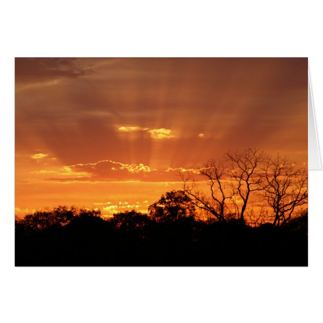 "himmlischer Sonnenuntergang" von Larry Coressel (Vorderseite (Horizontal))