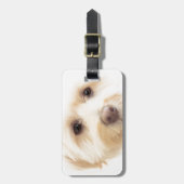 Himmlischer Welpe Gepäckanhänger (Vorderseite vertikal)